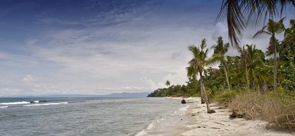 The Beach