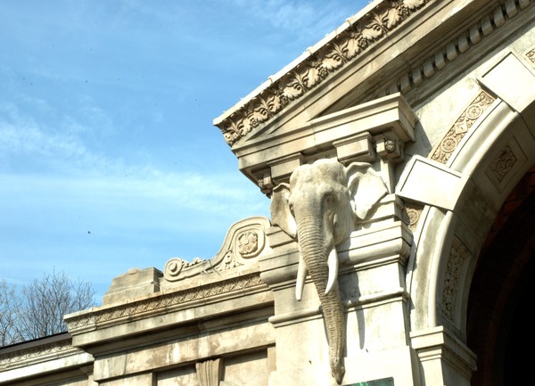 OLD elephant house