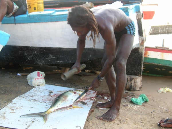 Fisherman!