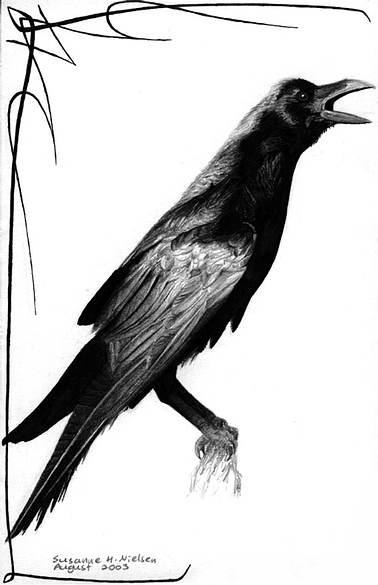 Raven