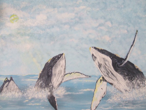 Humpback whales 