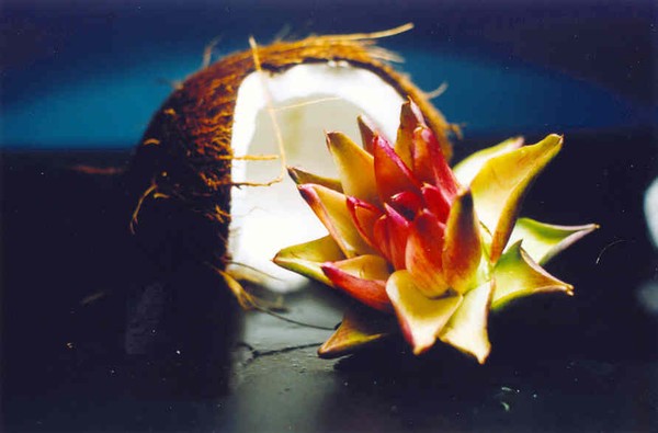 Like a flower