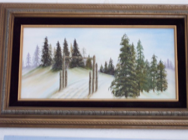Winter Snow Scene