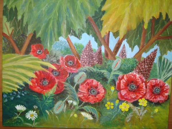 Poppies in the wild