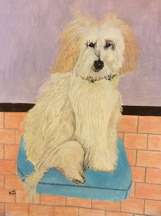 Rocky....just for the Borghi family