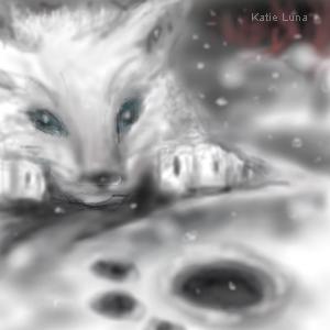 Baby wolf