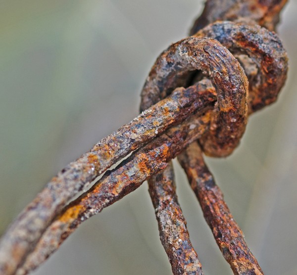 Wire