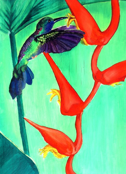 Hummingbird