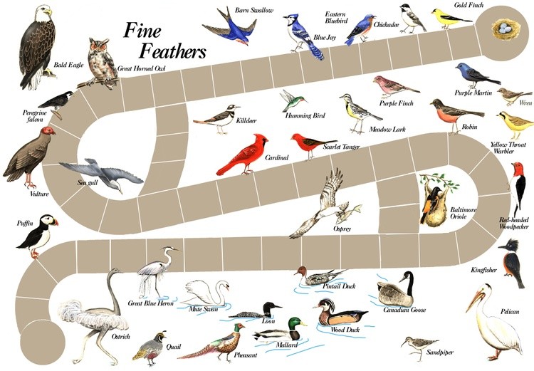 Fine Feathers