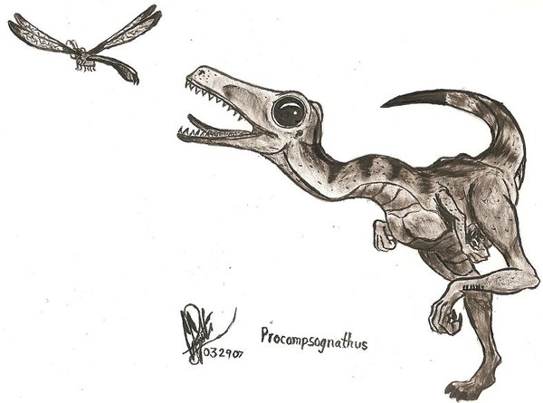 Procompsognathus