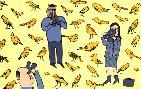bird Count
