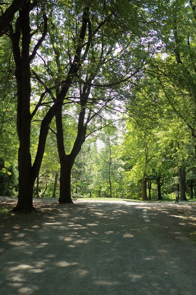 Mount Royal - Beaver Lake - Aug 4, 2012