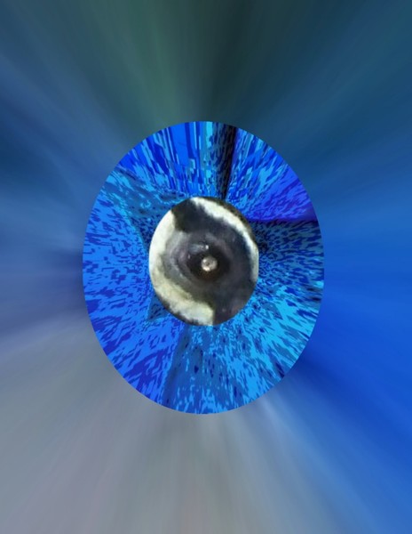 Eye of The Peacock