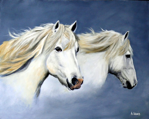 Camargue Horses