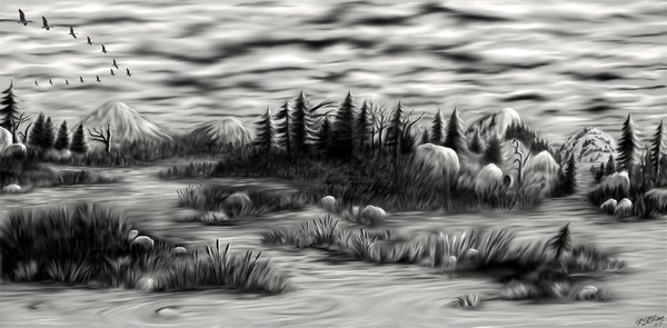 wetlands