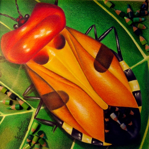 Shield bug  (collage)