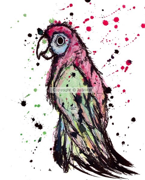 Parrot