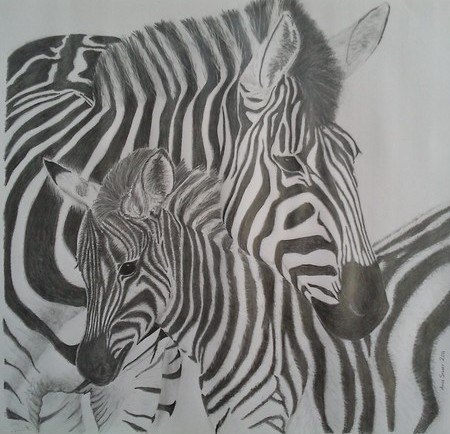 Family Stripes