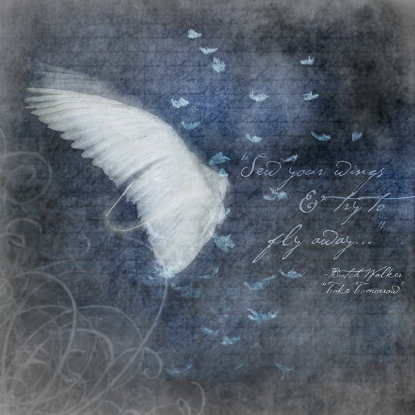Sew Your Wings