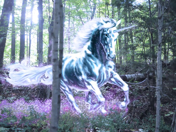 unicorn