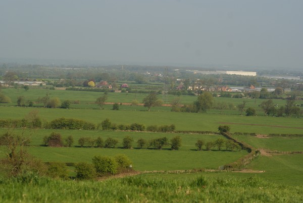 across the fields
