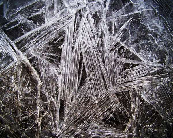 Ice Age 484 11x14 Print