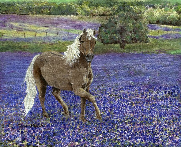 Pony in the Bluebonnets