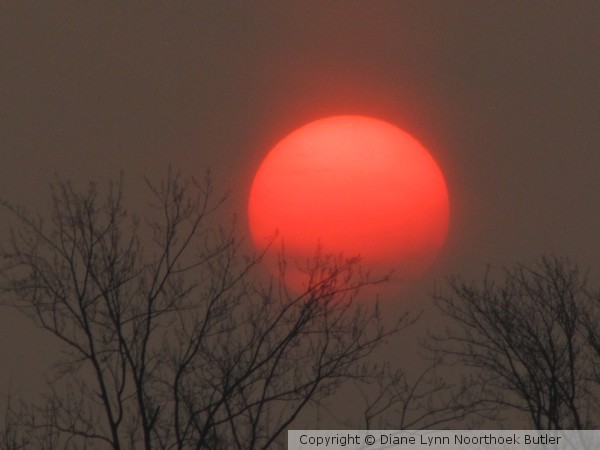 Red Moon Rising