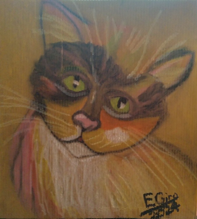 Cute Colorful Cat