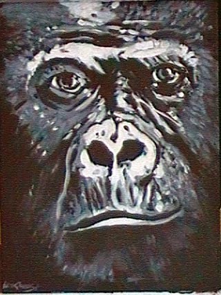 Gorilla