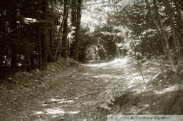 Peaceful Walk2