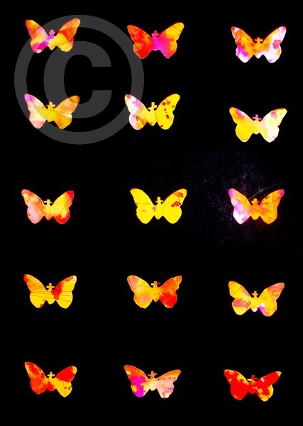 butterflies (2)