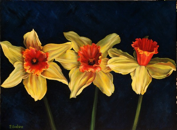 Three Sisters