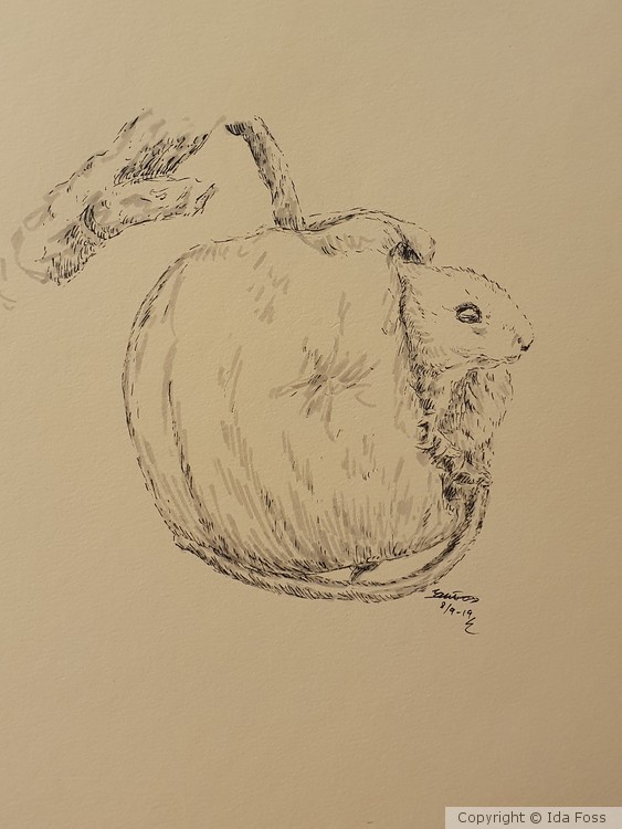 Winter apple