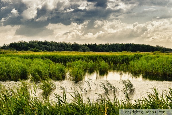 wetlands