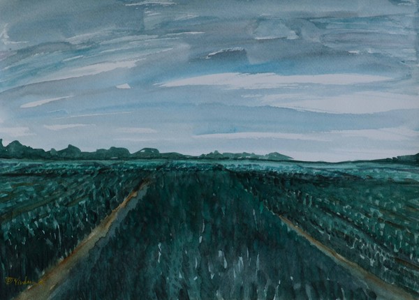 Green Fields