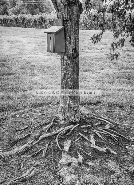 Birdhouse