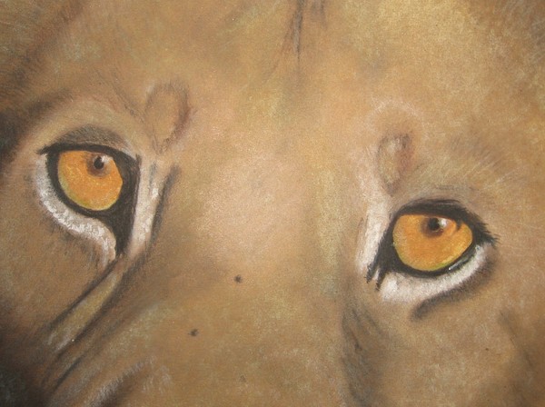 Relentless Eyes
