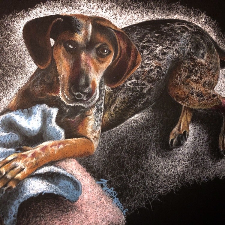 Pet portrait