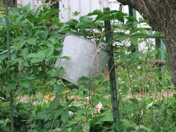 Bucket