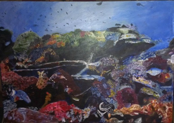 Coral Reef