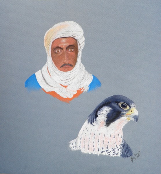 THE ARABIAN FALCON