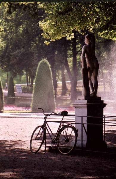 Scene  In The Park