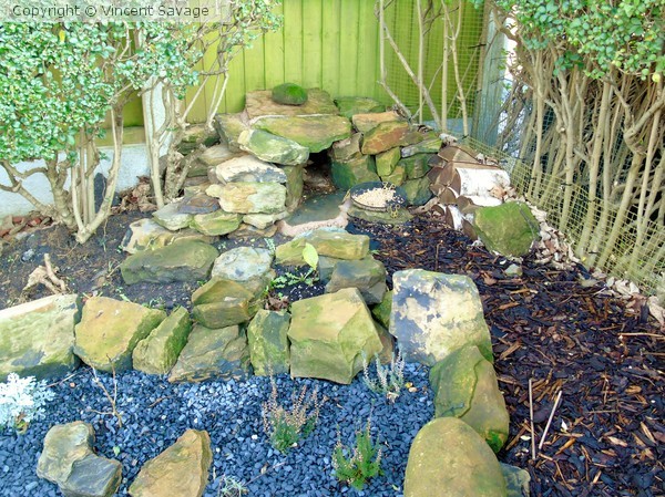 Hedgehog house