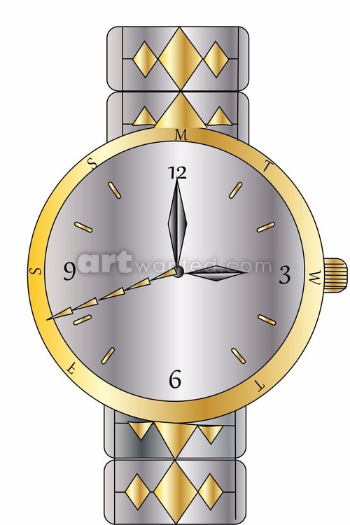 Silver and Gold Watch