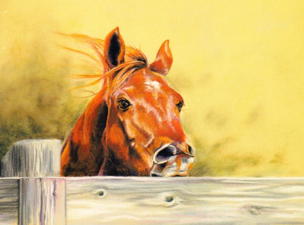 Cuttin' Horse Obie