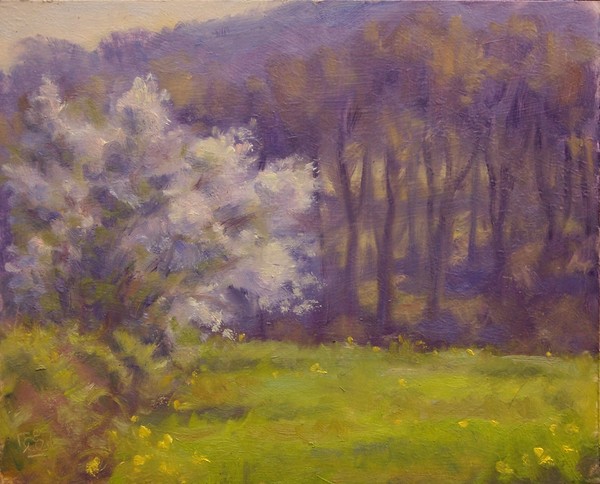 white blossom