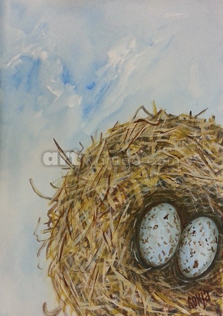Blue Eggs