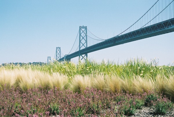 Bay Bridge No. 2
