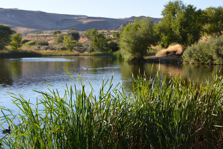 Country lake 2